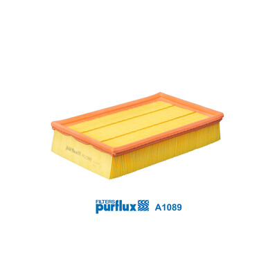Filtre à air PURFLUX A1089