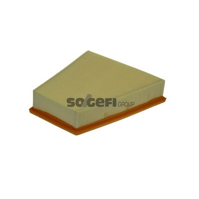 Filtre à air PURFLUX A1113