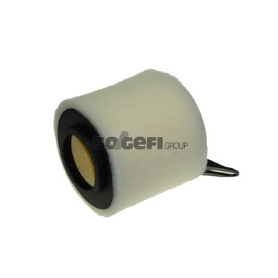 Filtre à air PURFLUX A1200