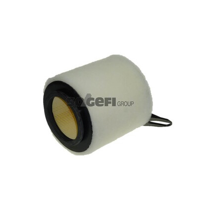 Filtre à air PURFLUX A1201