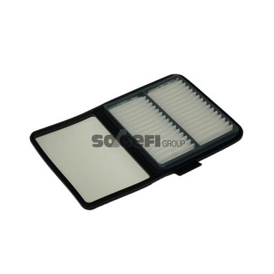 Filtre à air PURFLUX A1220