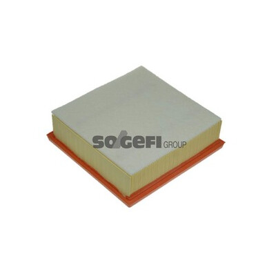 Filtre à air PURFLUX A1223