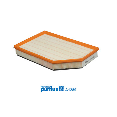 Filtre à air PURFLUX A1289