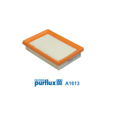 Filtre à air PURFLUX A1613