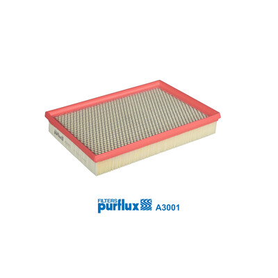 Filtre à air PURFLUX A3001