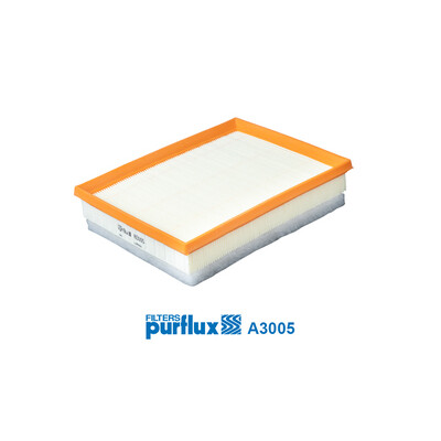 Filtre à air PURFLUX A3005