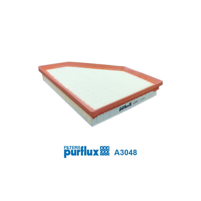 Filtre à air PURFLUX A3048