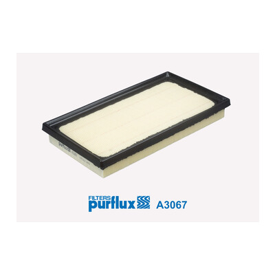 Filtre à air PURFLUX A3067