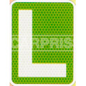 Plaque V-13 pour CardorNovel 150x195 mm l