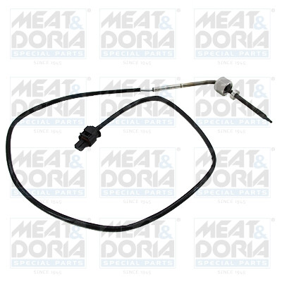 Capteur, température des gaz