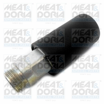 Pompe, préalimentation de carburant