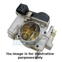 Corps papillon