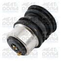 Thermostat, liqiuide de refroidissement