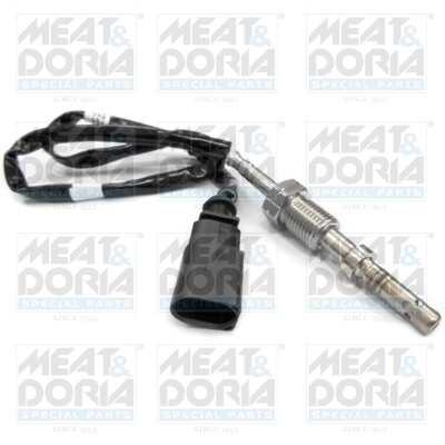 Capteur, température des gaz