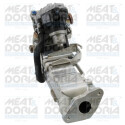 Module-EGR