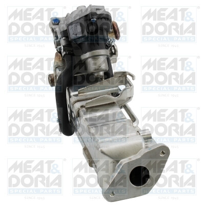 Module-EGR