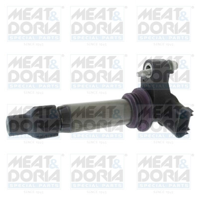 Bobine d'allumage MEAT & DORIA 10813