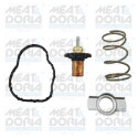 Thermostat, liqiuide de refroidissement