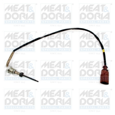 Capteur, température des gaz