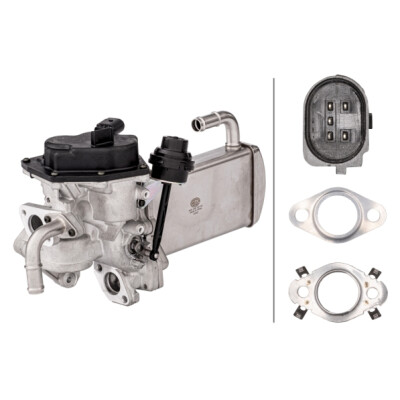 Module-EGR