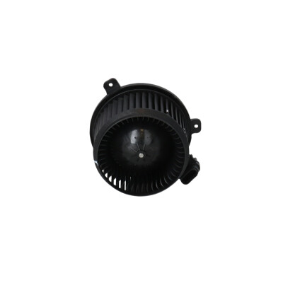 Pulseur d'air habitacle