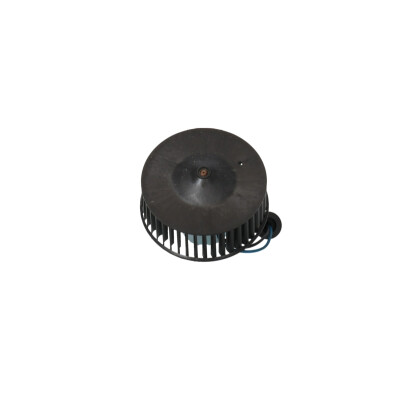 Pulseur d'air habitacle