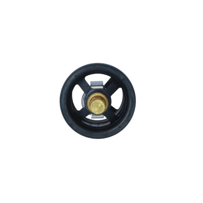 Thermostat, liquide de refroidissement NRF 725029