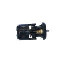 Thermostat, liquide de refroidissement NRF 725133