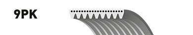 Courroie trapézoïdale à nervures