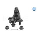 Rotule MEYLE 31-16 010 0007
