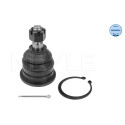 Rotule de suspension