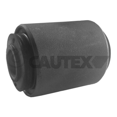 Suspension, Bras oscillant CAUTEX/FACET 20326