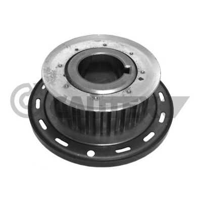 Pignon de vilebrequin CAUTEX/FACET 31720