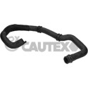 Tuyau de radiateur Cautex/Facet 36443