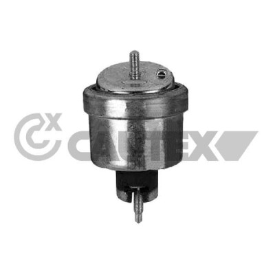 Support, moteur CAUTEX/FACET 480493