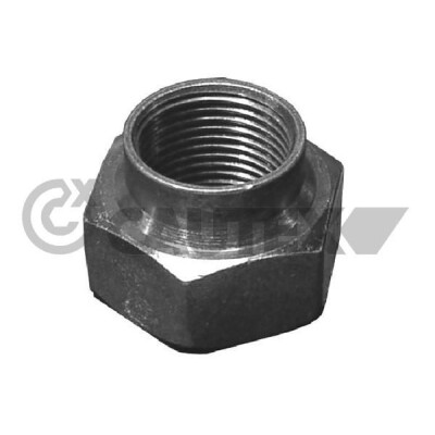 Écrou de fusée d'essieu CAUTEX/FACET 951005