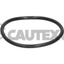 Joint, thermostat CAUTEX/FACET 952036