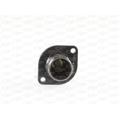 Thermostat, liquide de refroidissement PIÈCES OUVERTES TRM1069.00