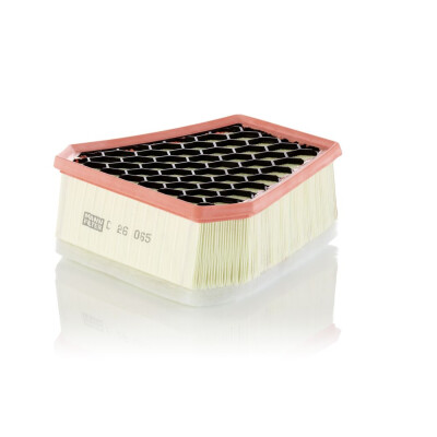 Filtre à air MANN-FILTER C 26 065