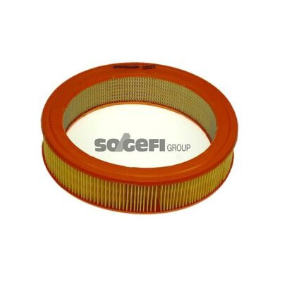 Filtre à air PURFLUX A822