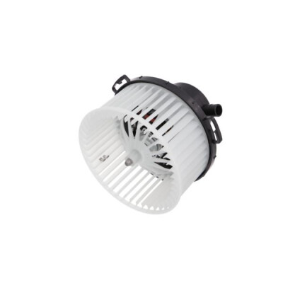 Pulseur d'air habitacle