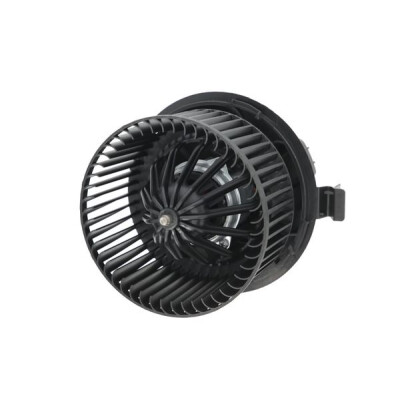 Pulseur d'air habitacle
