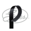 Courroie trapézoïdale poly-V GATES 10PK1620HD