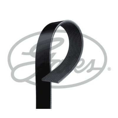 Courroie trapézoïdale poly-V GATES 10PK1815HD