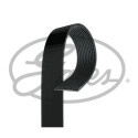 Courroie trapézoïdale poly-V GATES 11PK2835HD
