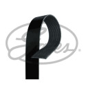Courroie trapézoïdale poly-V GATES 12PK1830HD