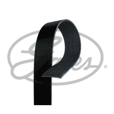 Courroie trapézoïdale poly-V GATES 12PK1930AHD