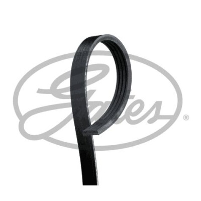 Courroie trapézoïdale poly-V GATES 4PK1008HD