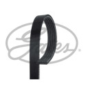 Courroie trapézoïdale poly-V GATES 5PK1260HD