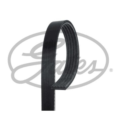 Courroie trapézoïdale poly-V GATES 5PK1260HD